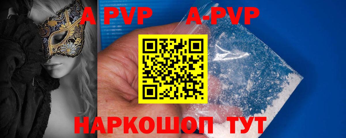 A PVP СК Нововоронеж
