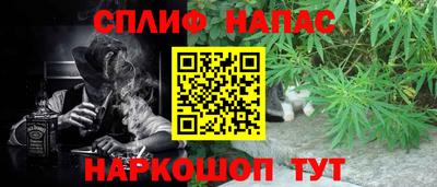 амф Усть-Джегута
